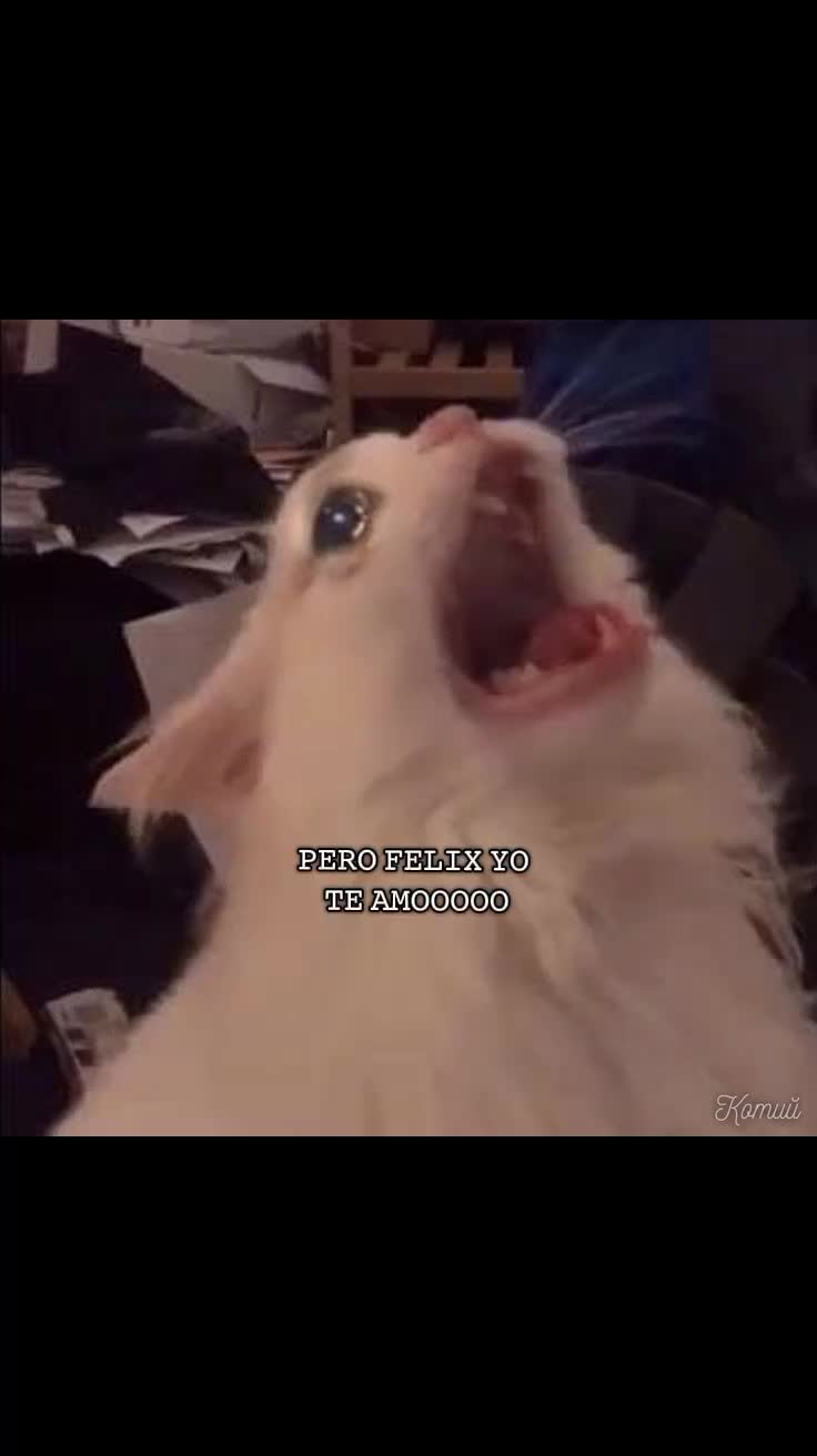 @🄘  䥵  MۙۚILۜYYYۣۚۙ
