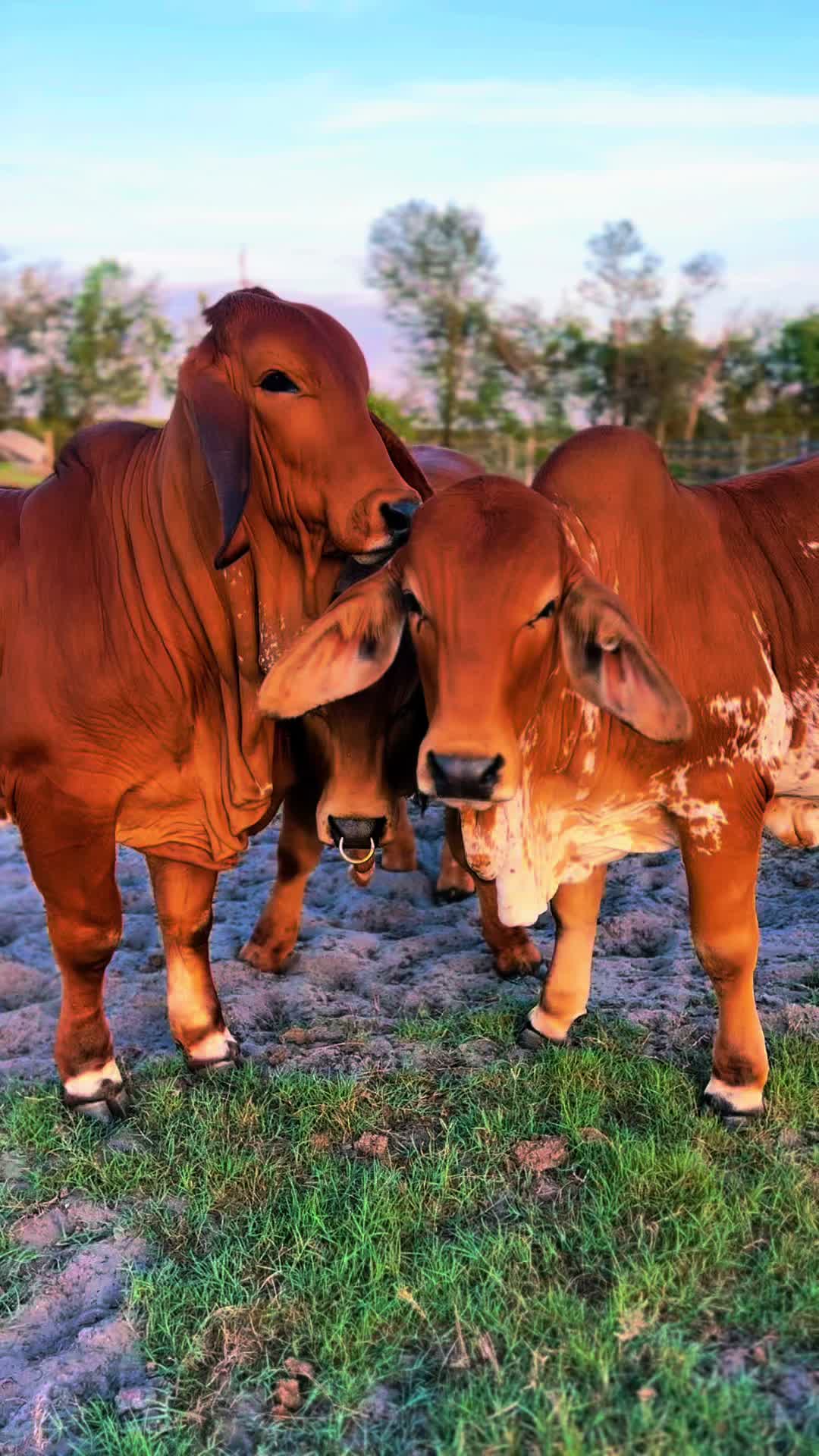 @𝐌𝐚𝐝𝐢𝐬𝐨𝐧 𝐑𝐨𝐛𝐞𝐫𝐭𝐬