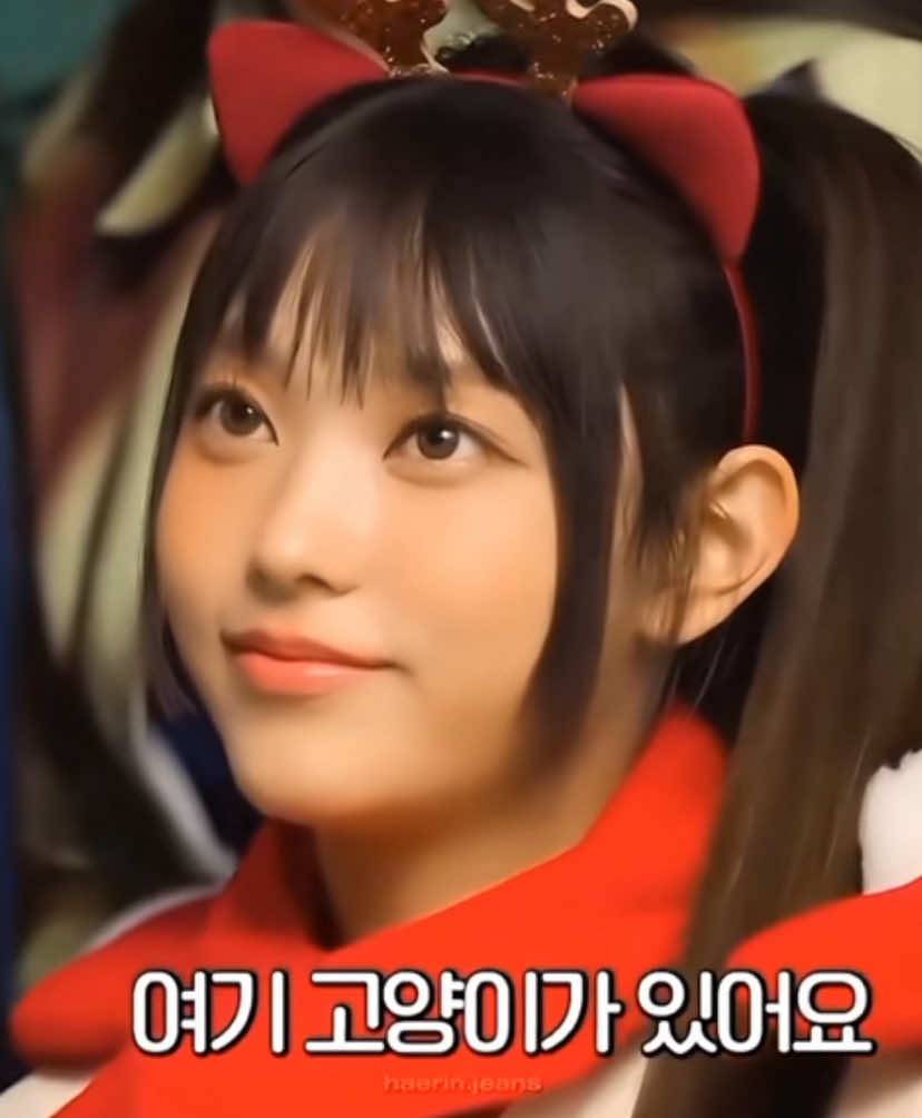 @rein