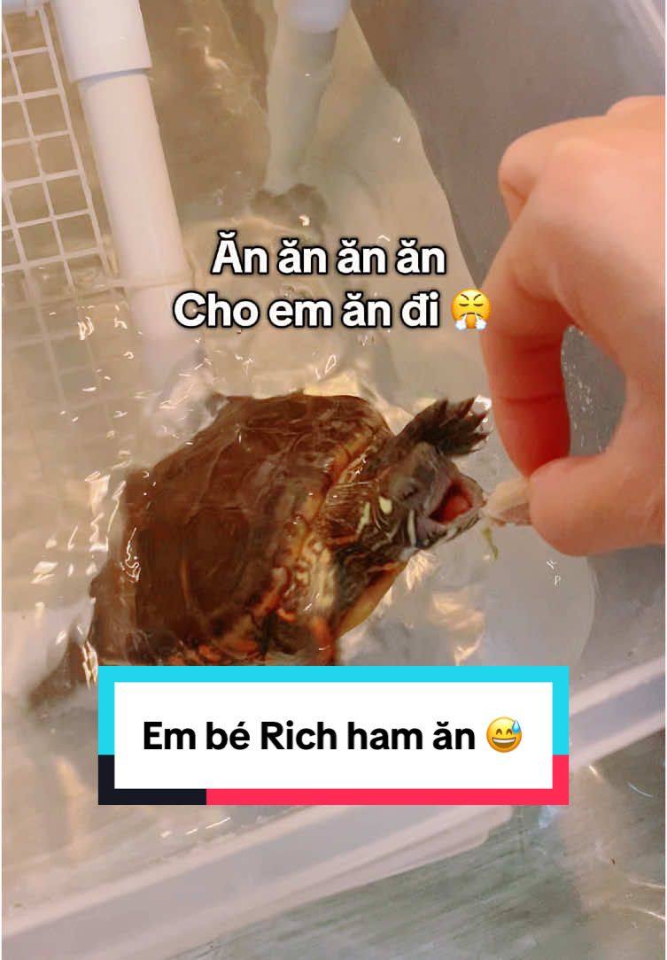 @Nh&agrave; c&oacute; r&ugrave;a v&agrave; ch&oacute;