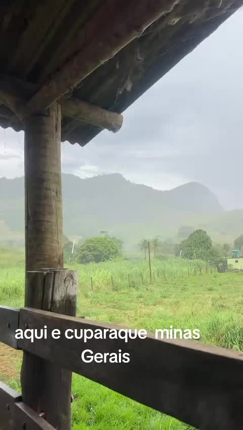 @wesley evangelista