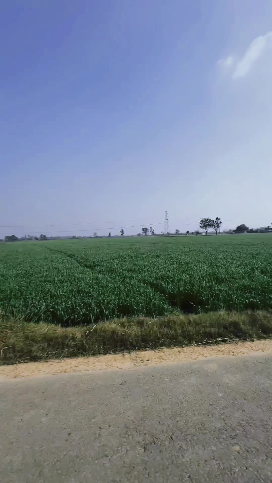 @BAGHIPANJAB