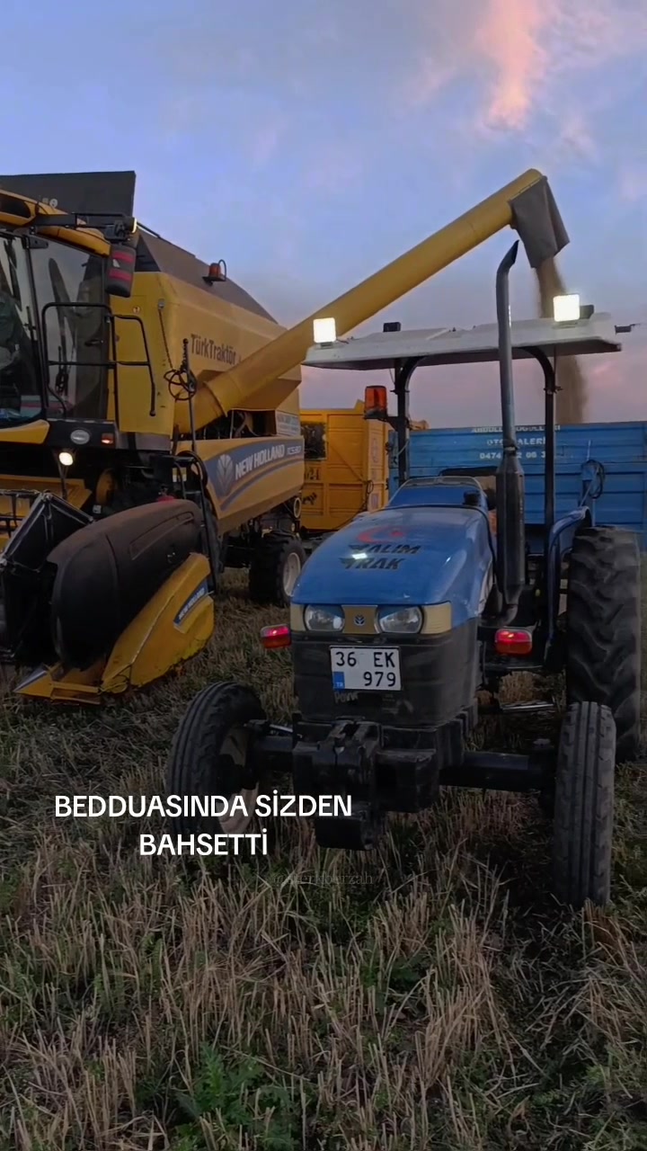 @DOĞUŞ 3636