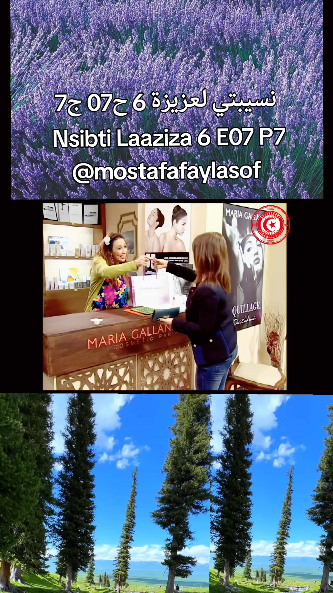 @مصطفى فيلسوف🏺