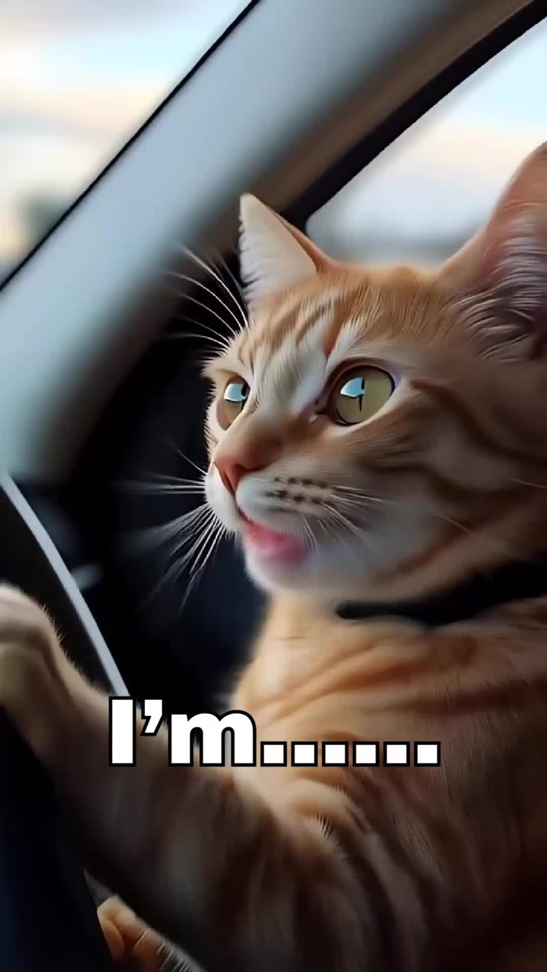 @_getinthemoodtoday