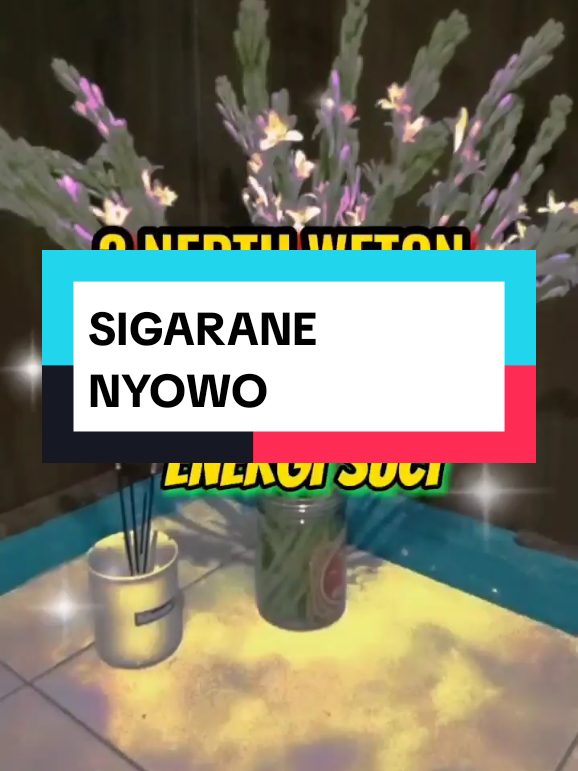 @💞 SIGARANE NYOWO 💞