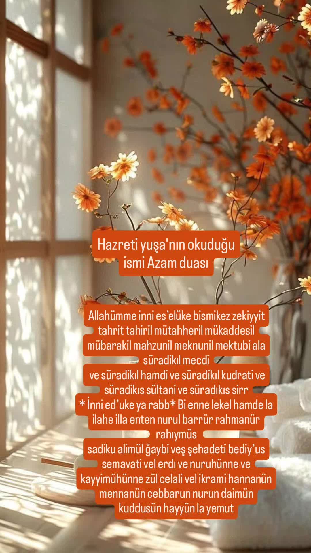 @hayat nereye gidiyor