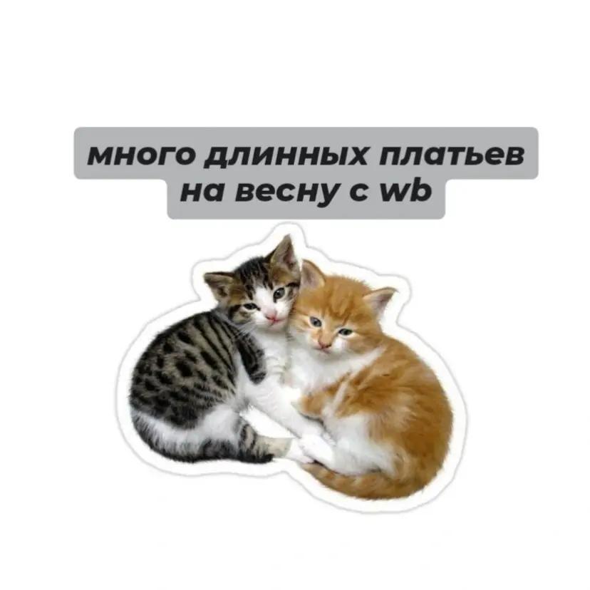 @wb находки 🤍