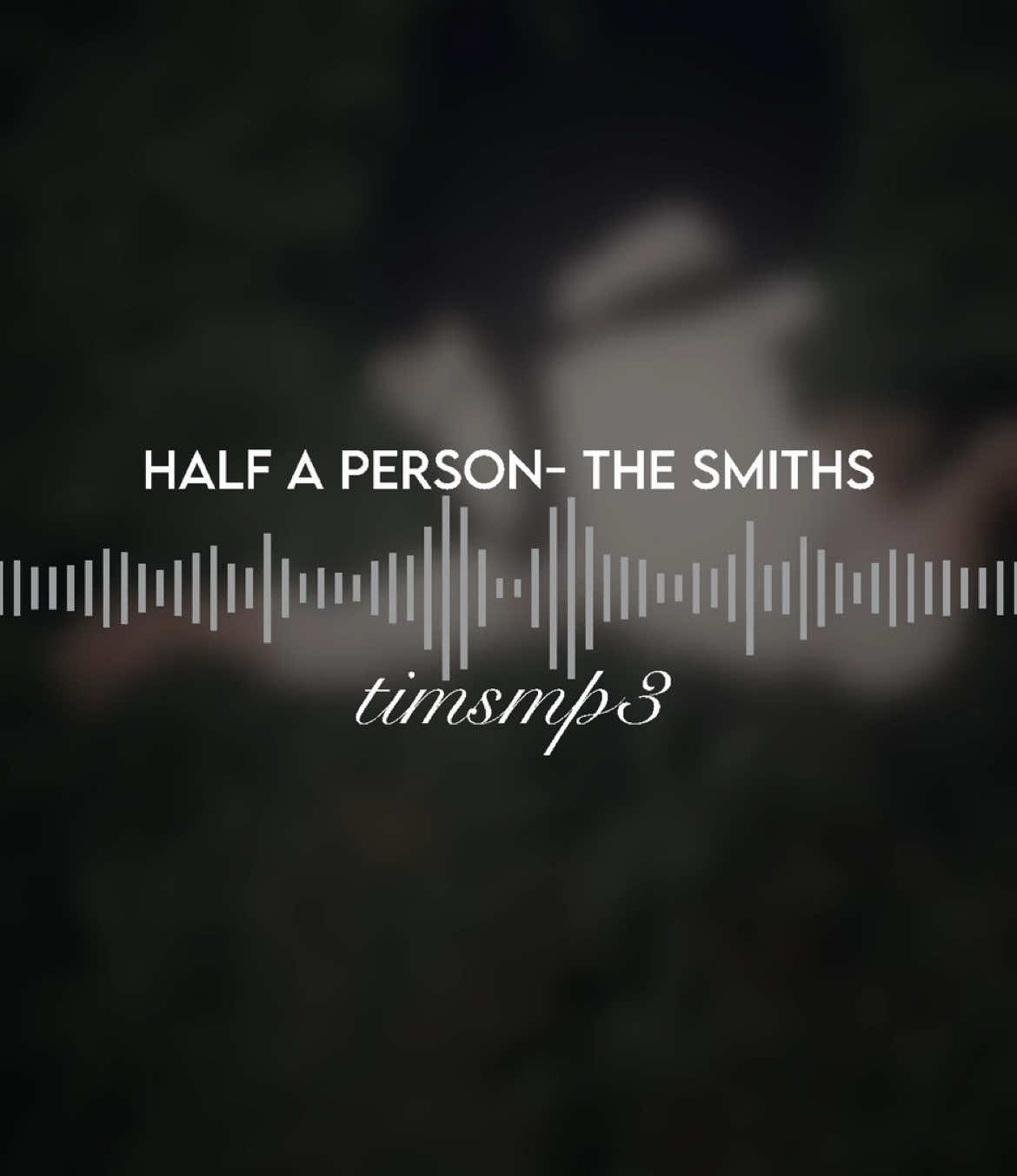 @timsmp3