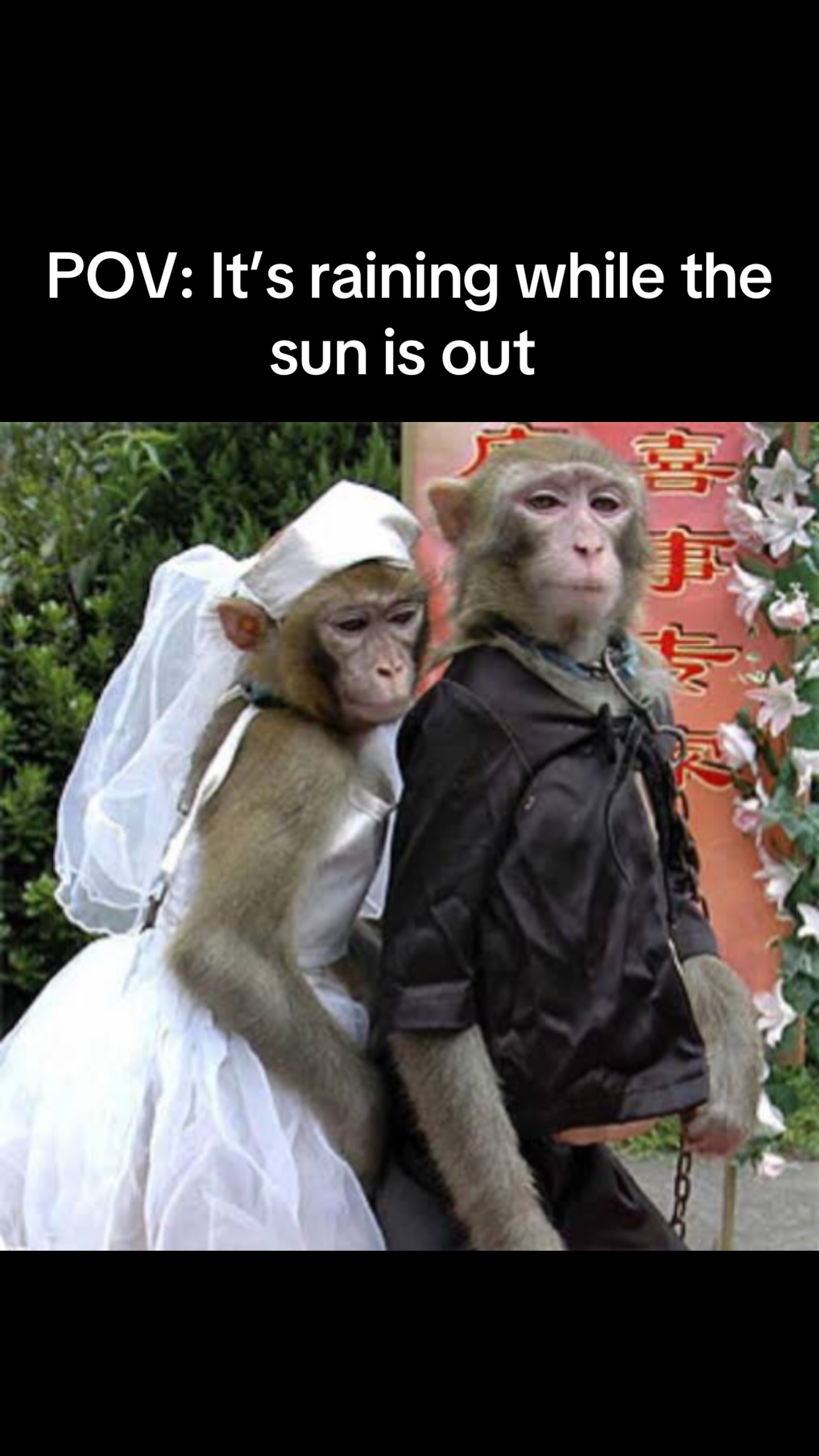 @SФLФMФИ⛷️