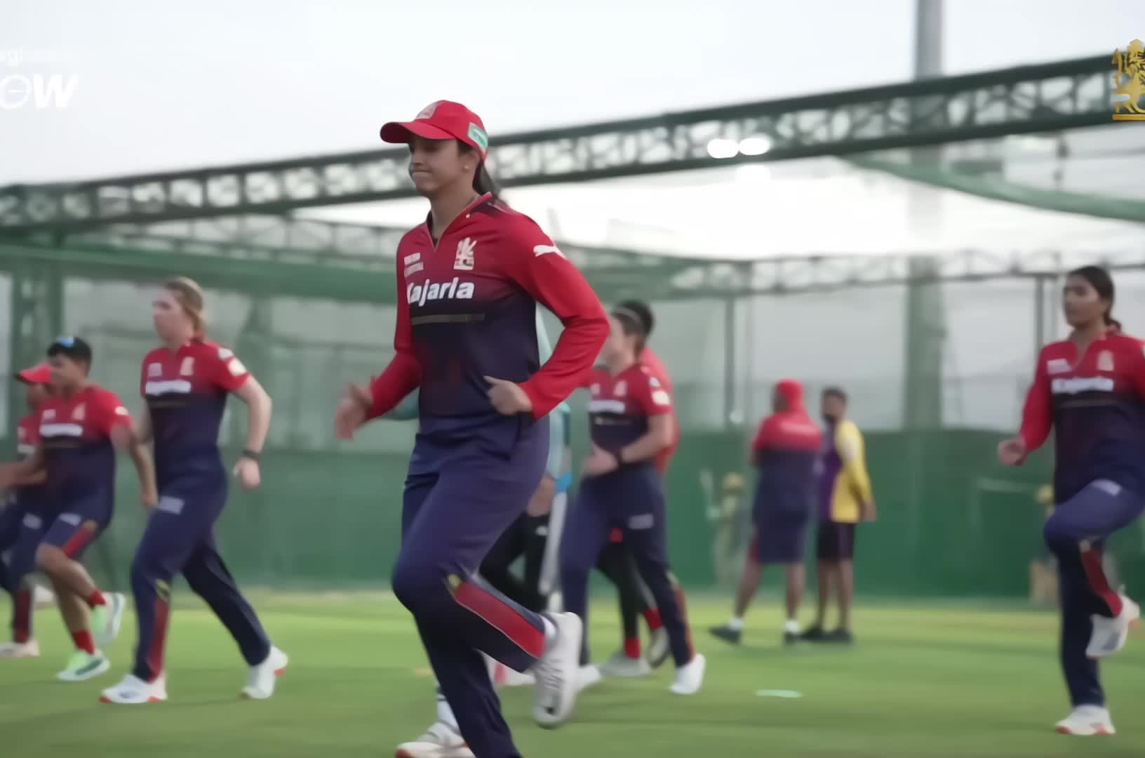 @Cricketlover1010