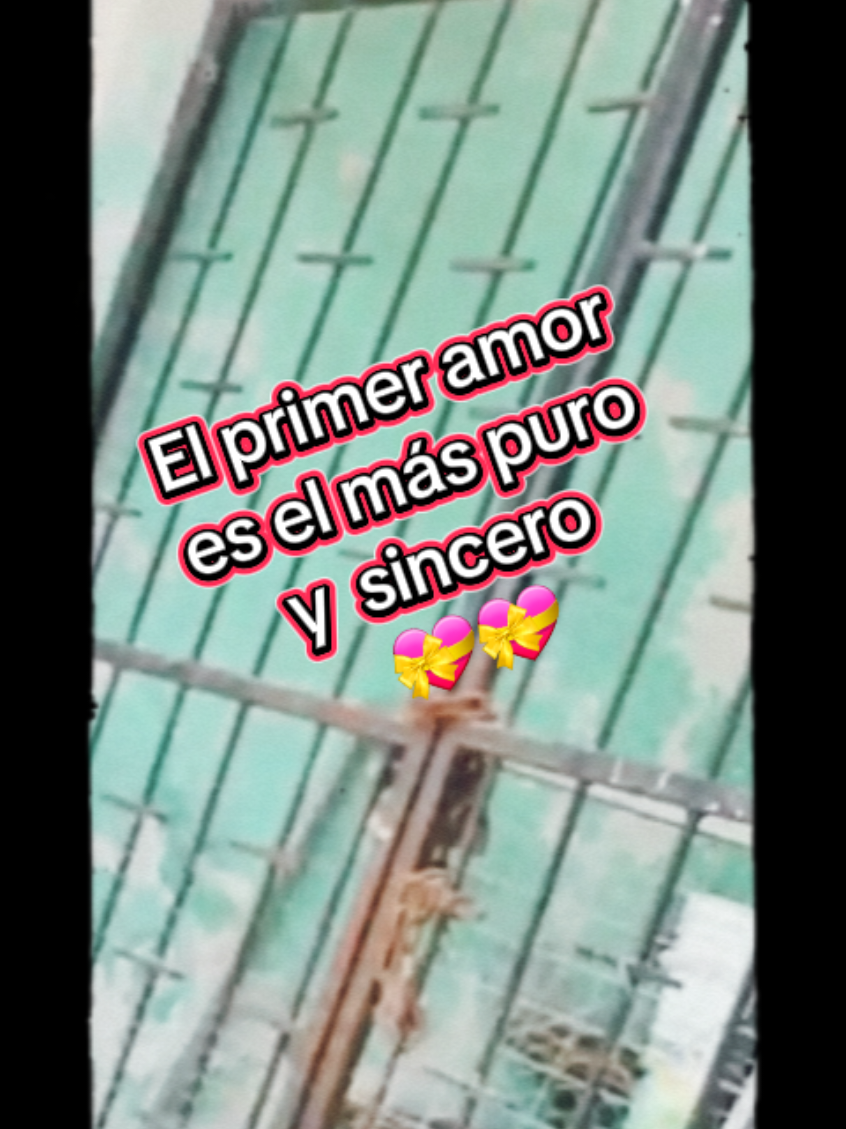 @Lorena