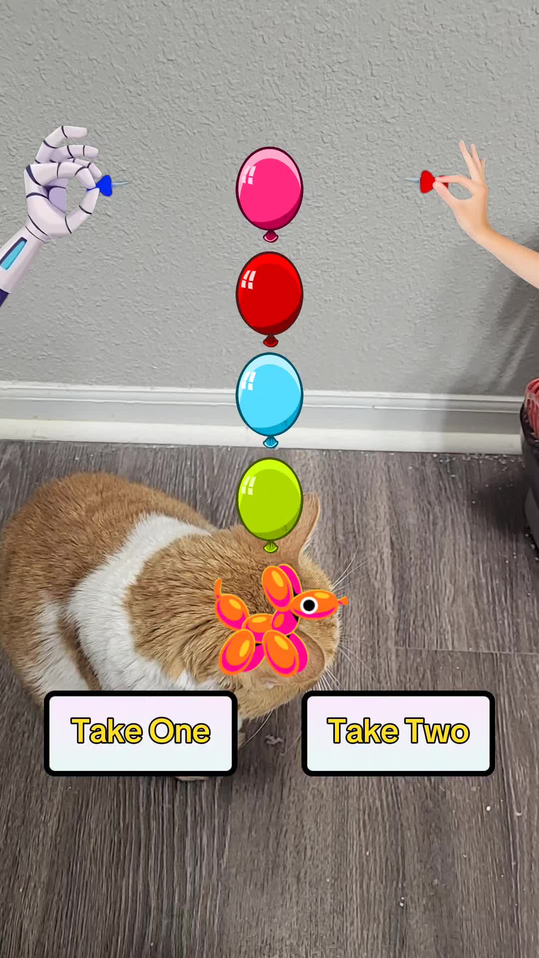 @JackieCat309