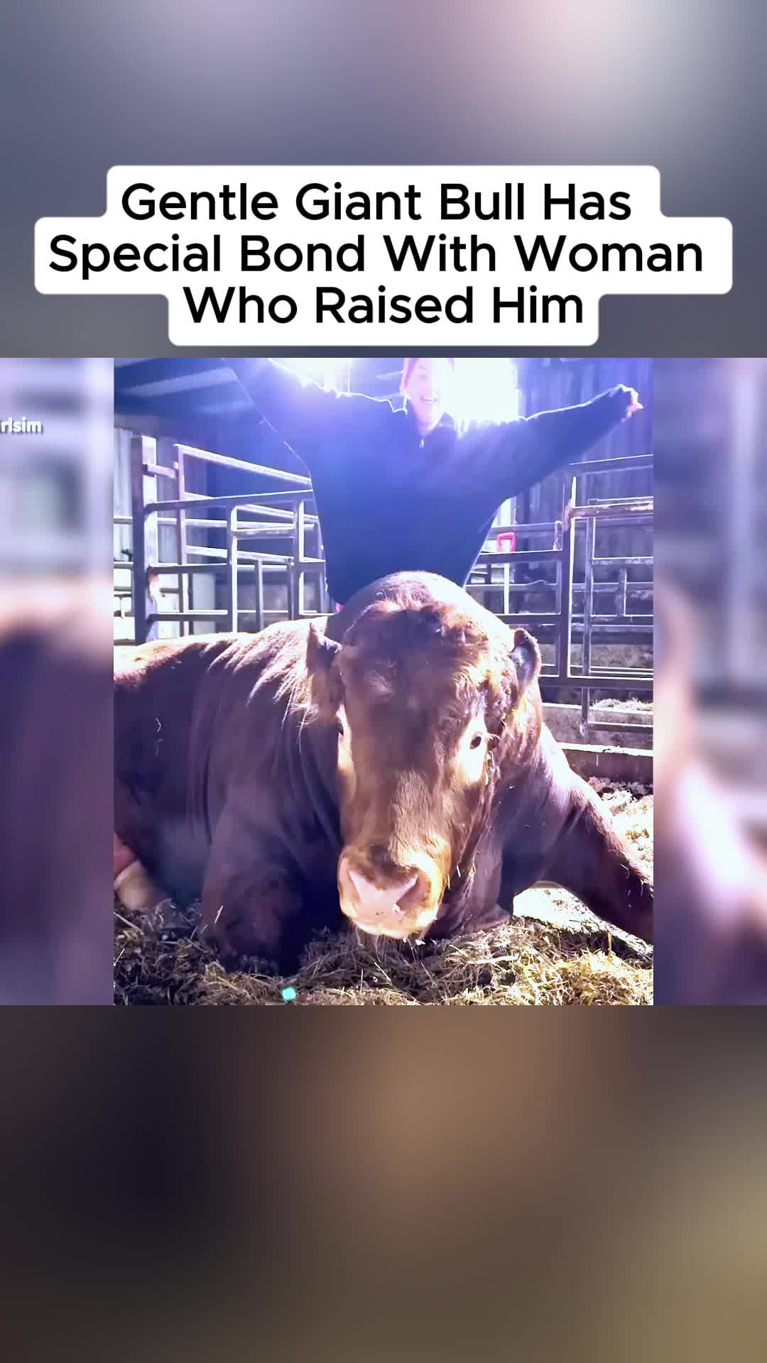 @The Clever Cowgirl