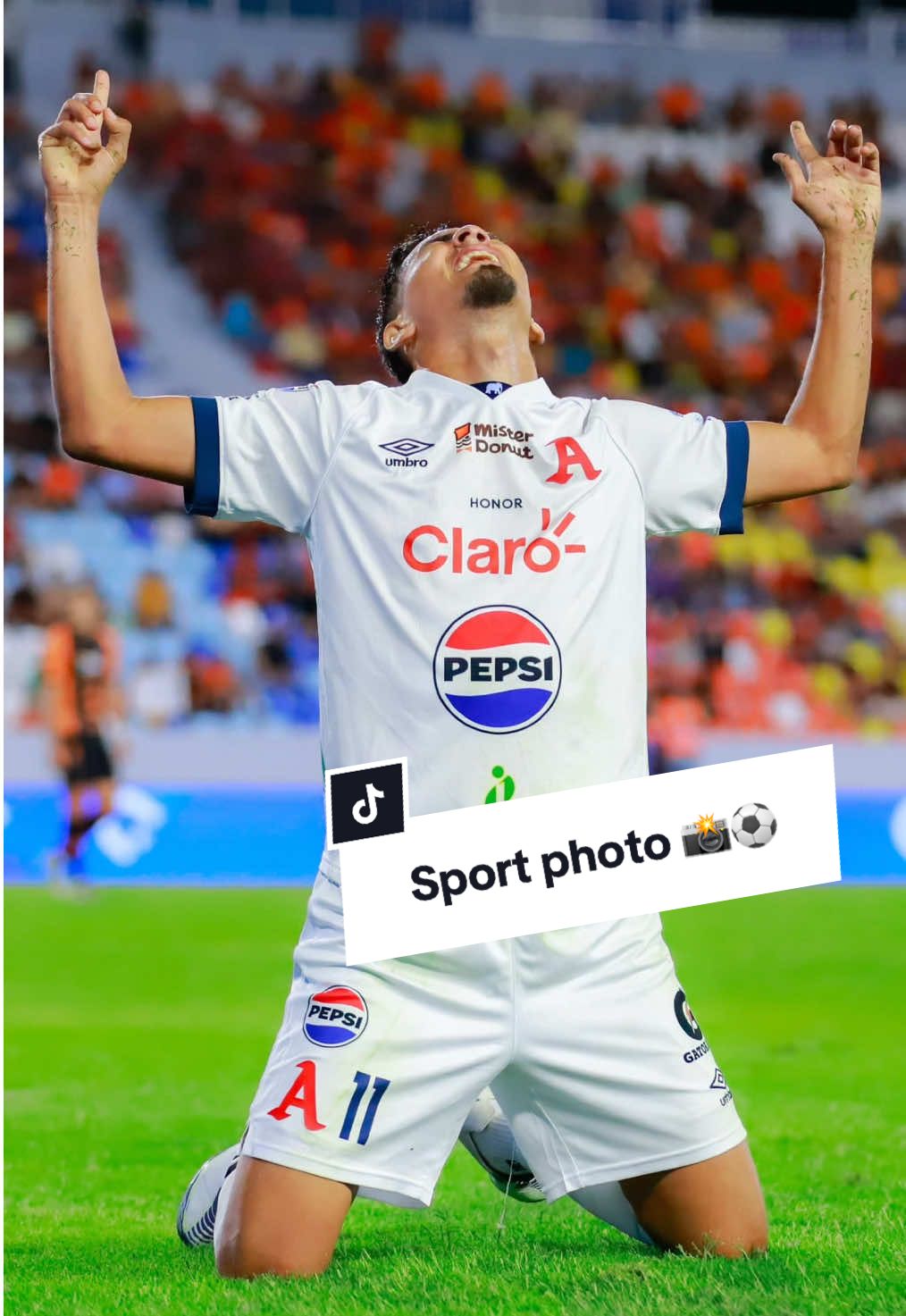 @Ronaldo Vásquez