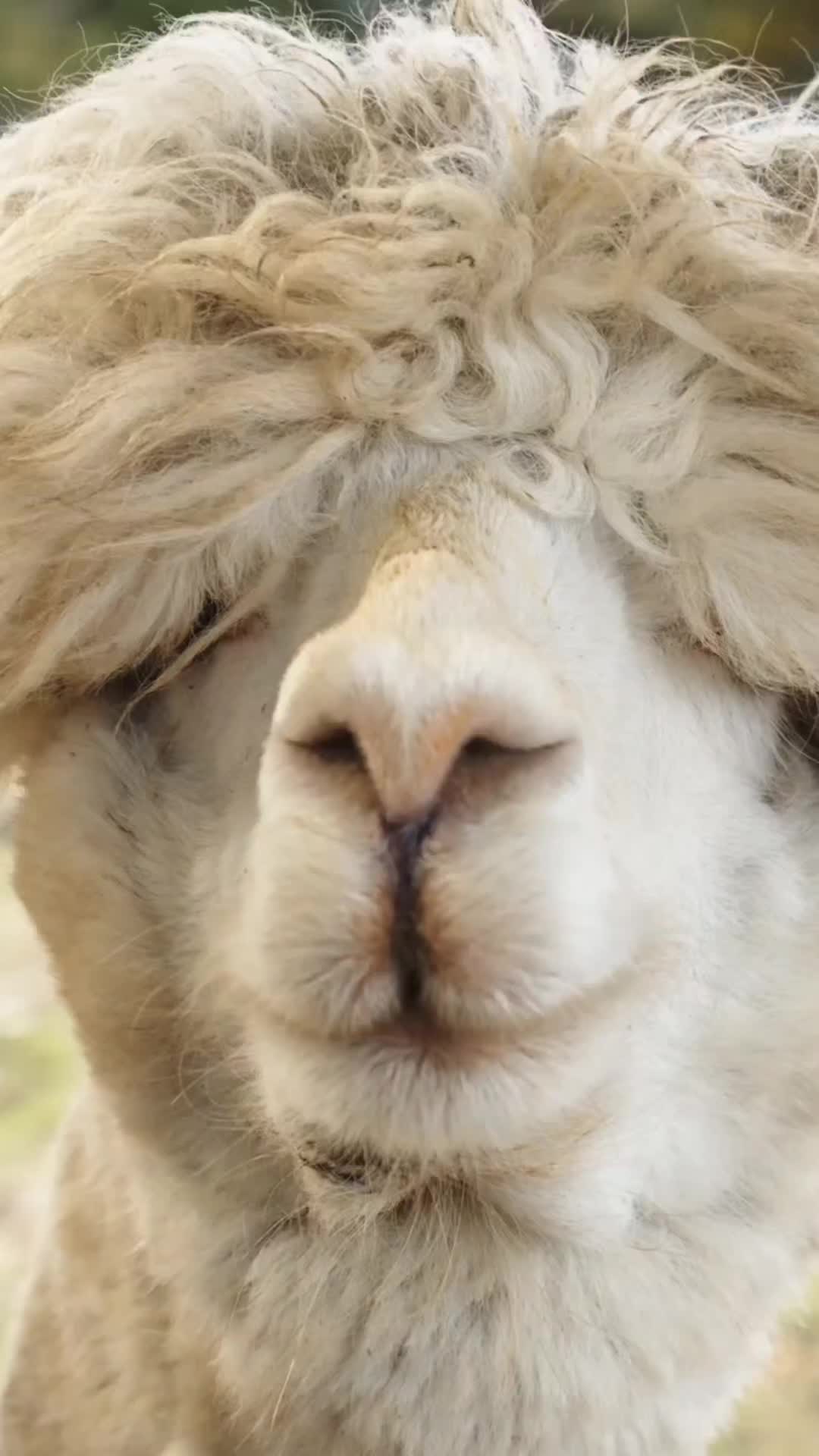@マサトルの楽園