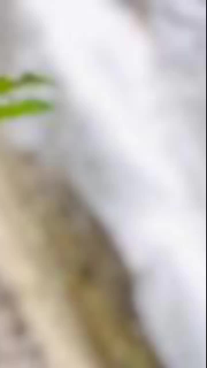 @❤🌸