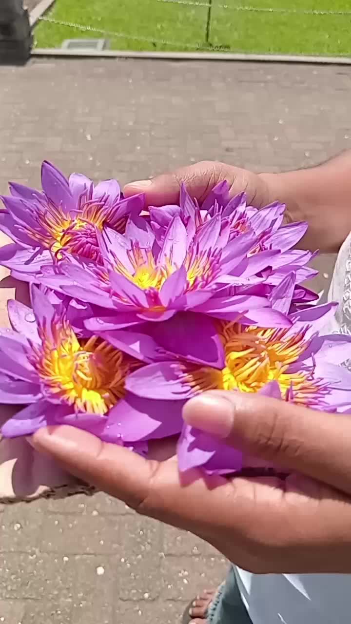 @Swapna Kumarathunga