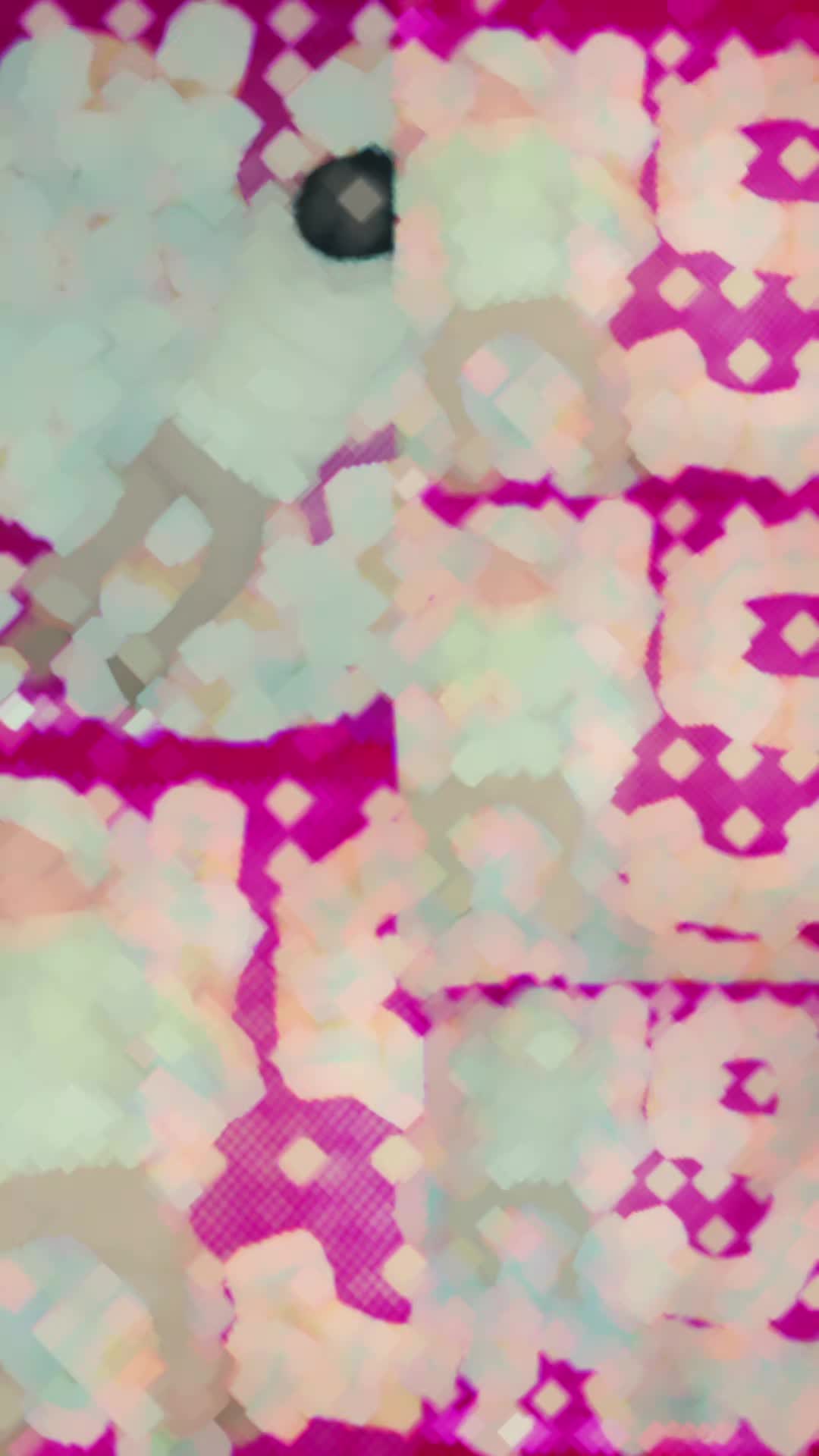 @D♾S