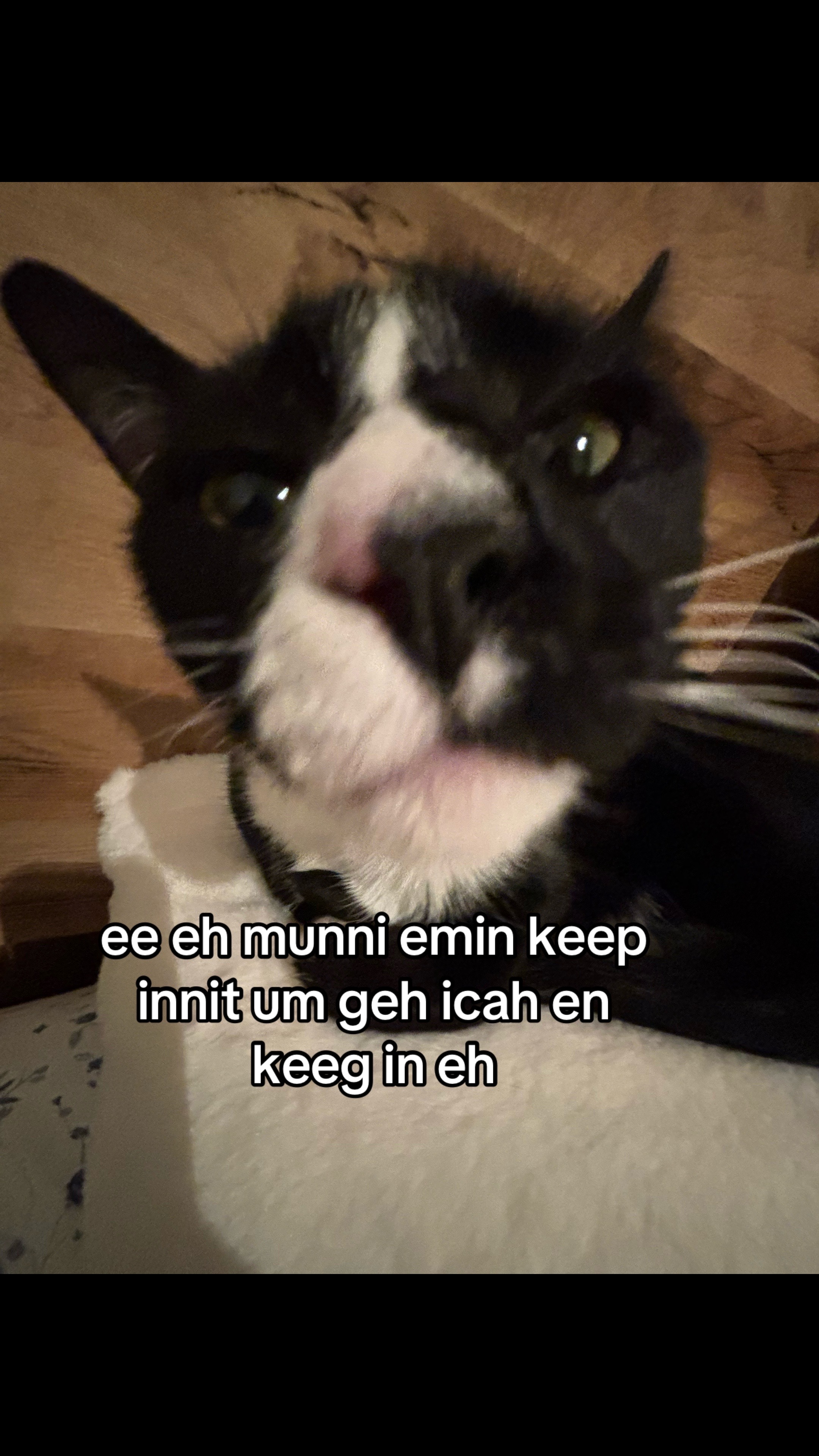 @🫧