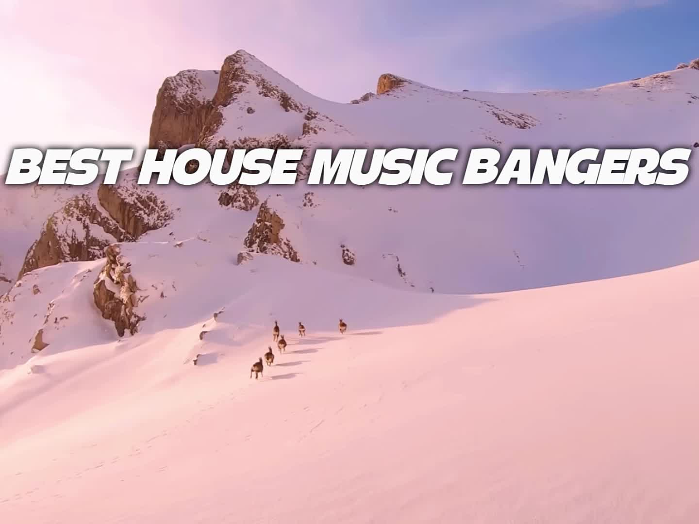 @TheHouseMusicNerds