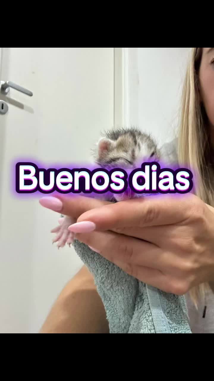 @Victoria Garcia Genga