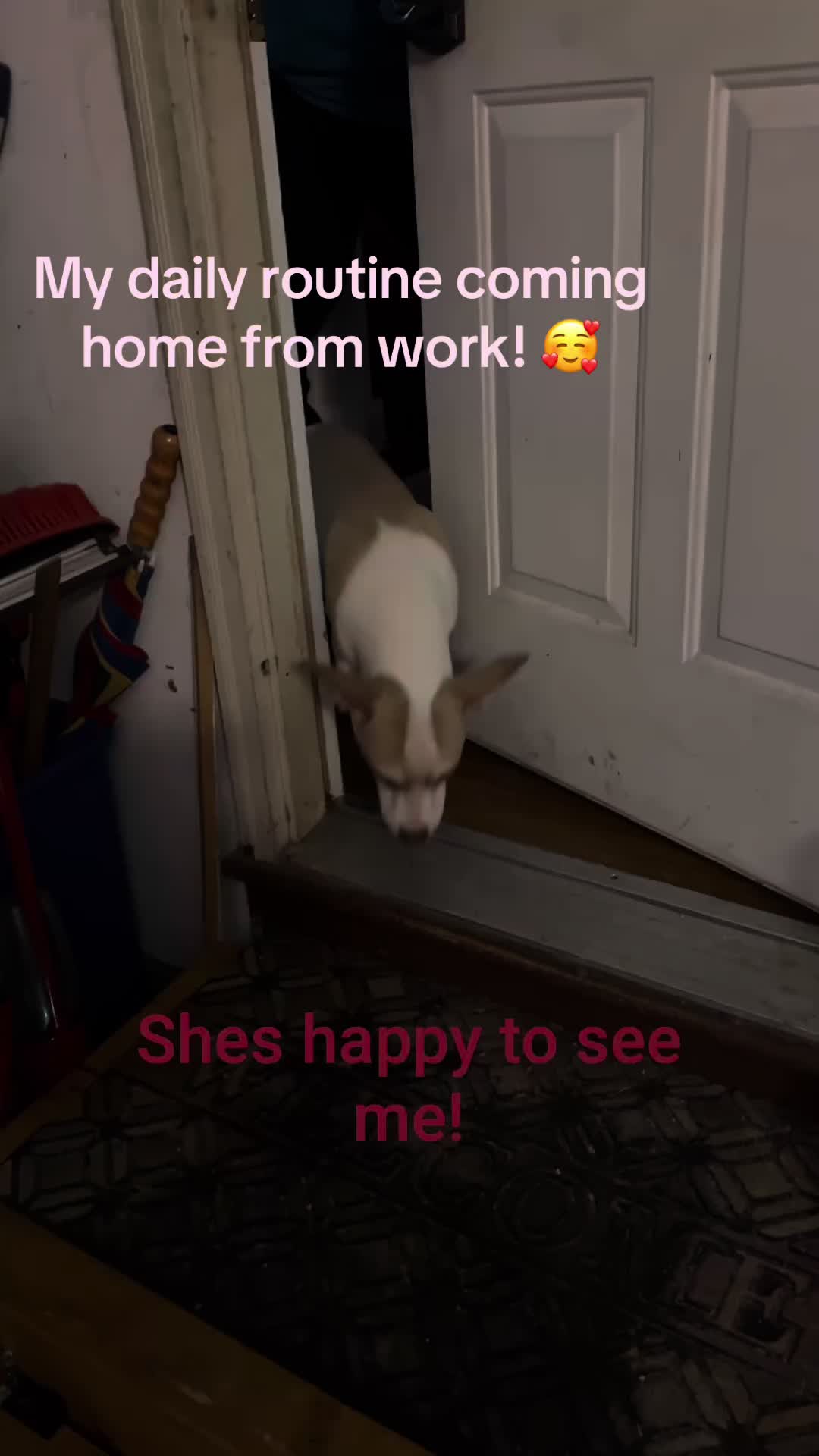 @TikTokmom