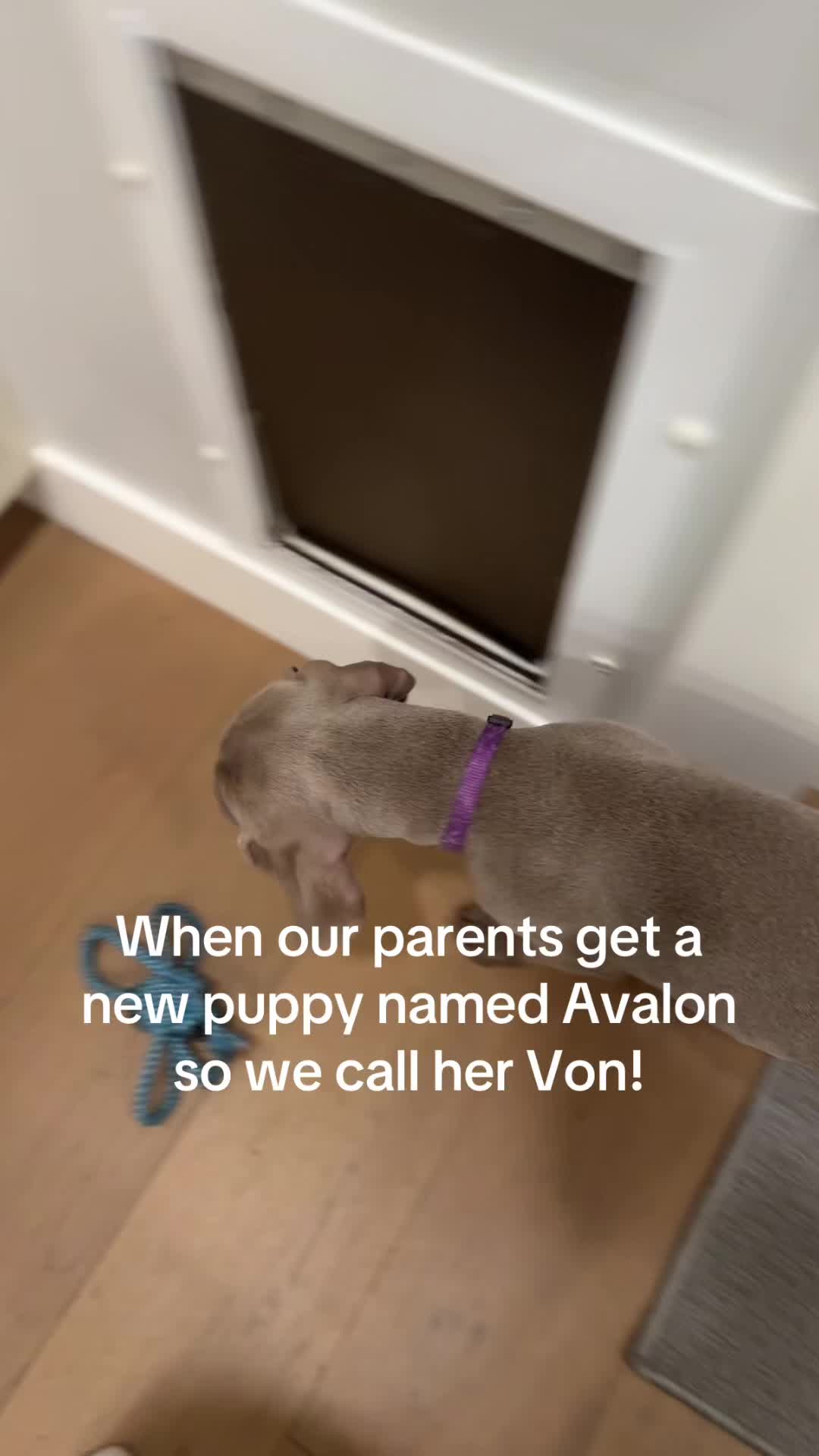@Phoobalicious