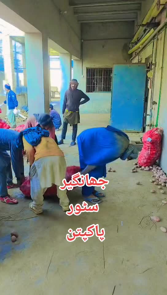 @Sohna G295