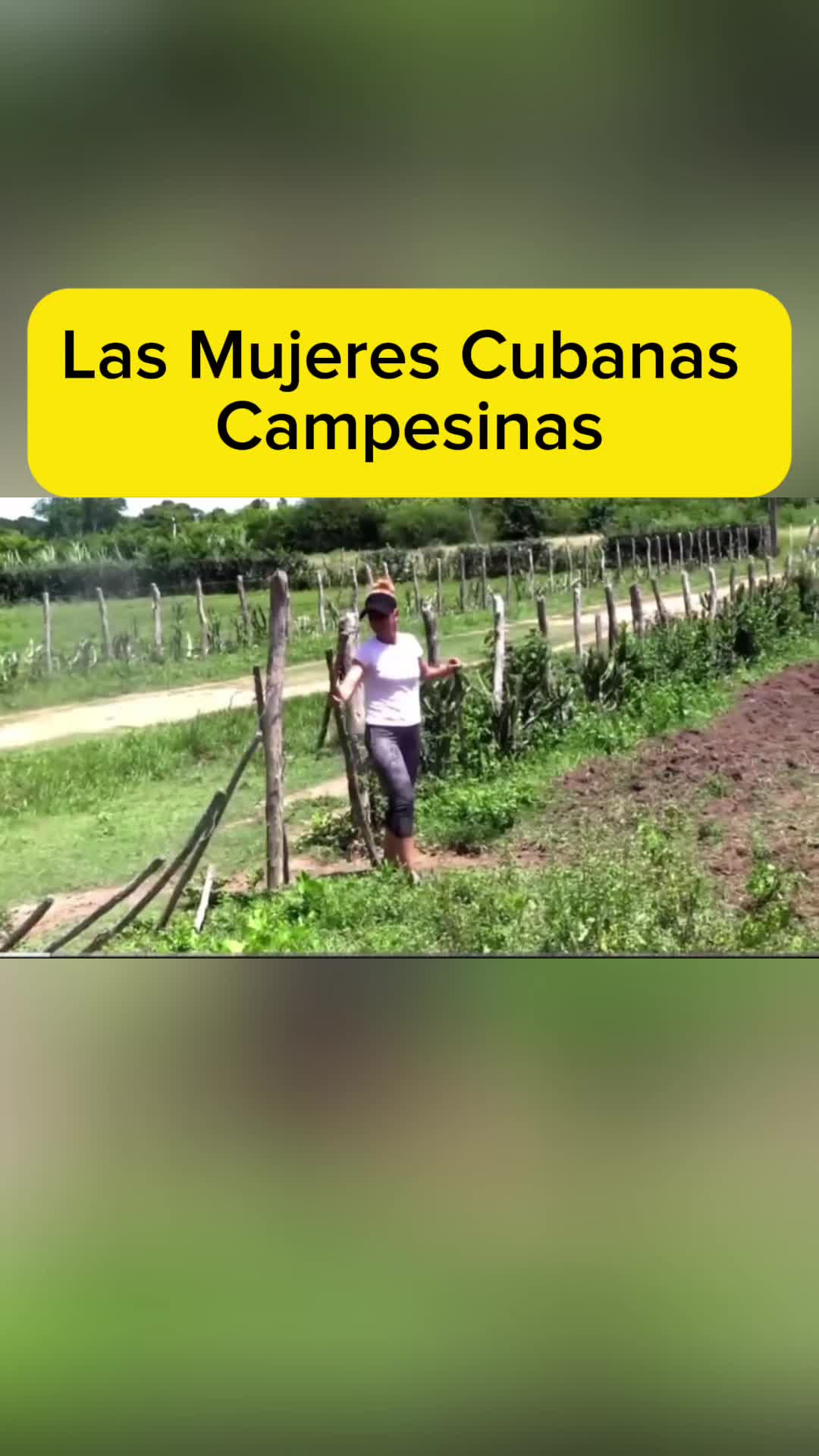 @cuba sin filtros 2