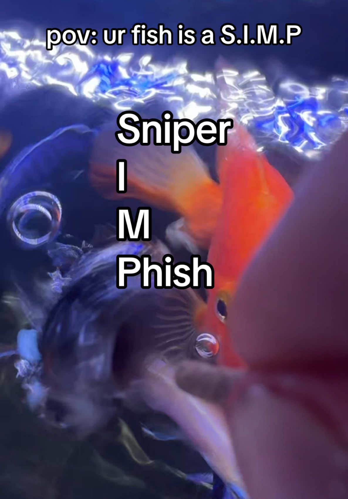 @mr_phishman