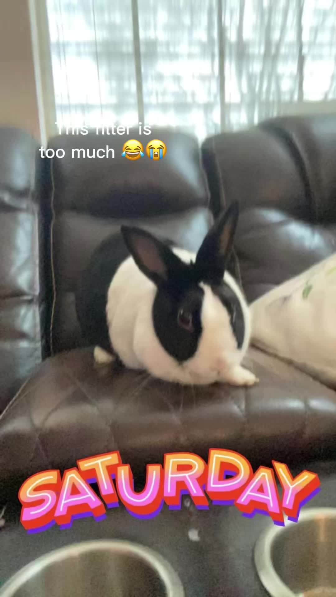 @Chrisdeza08