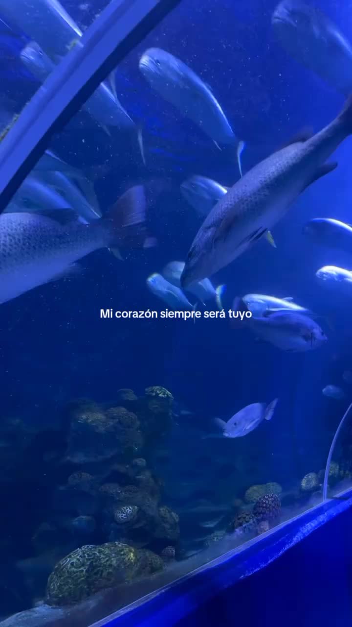 @Mariana