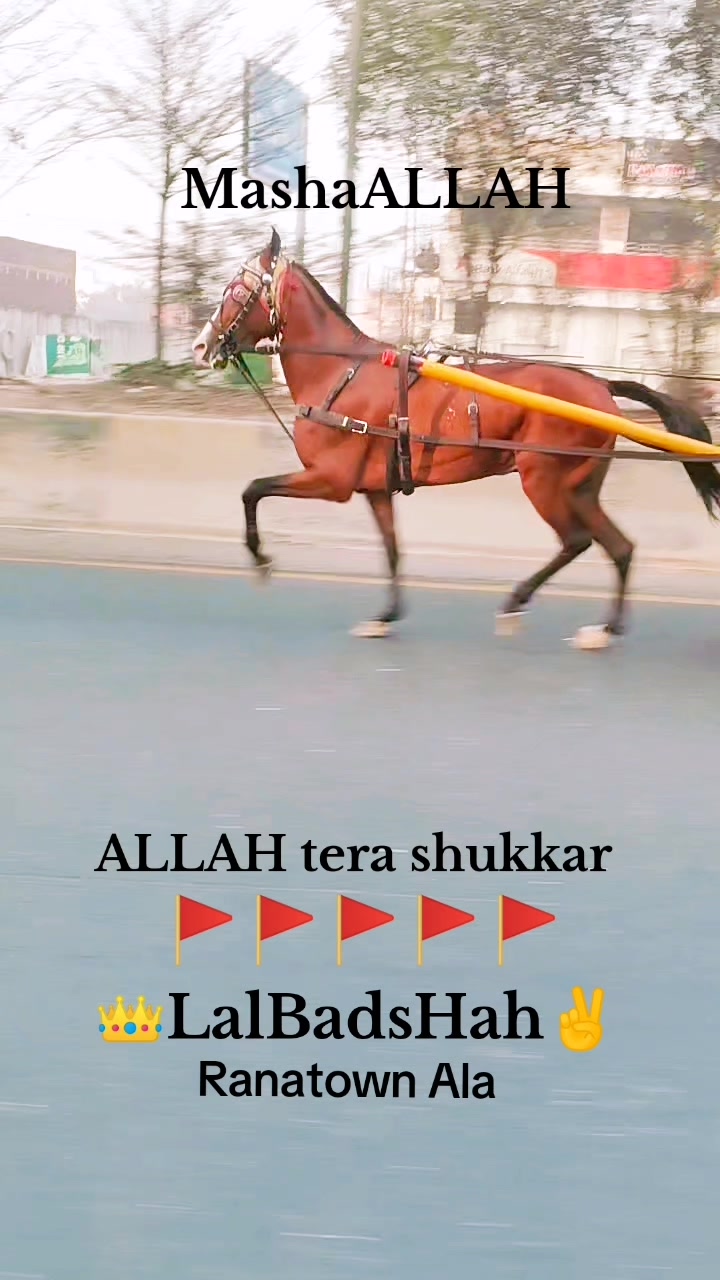 @Badshah-Gujjar