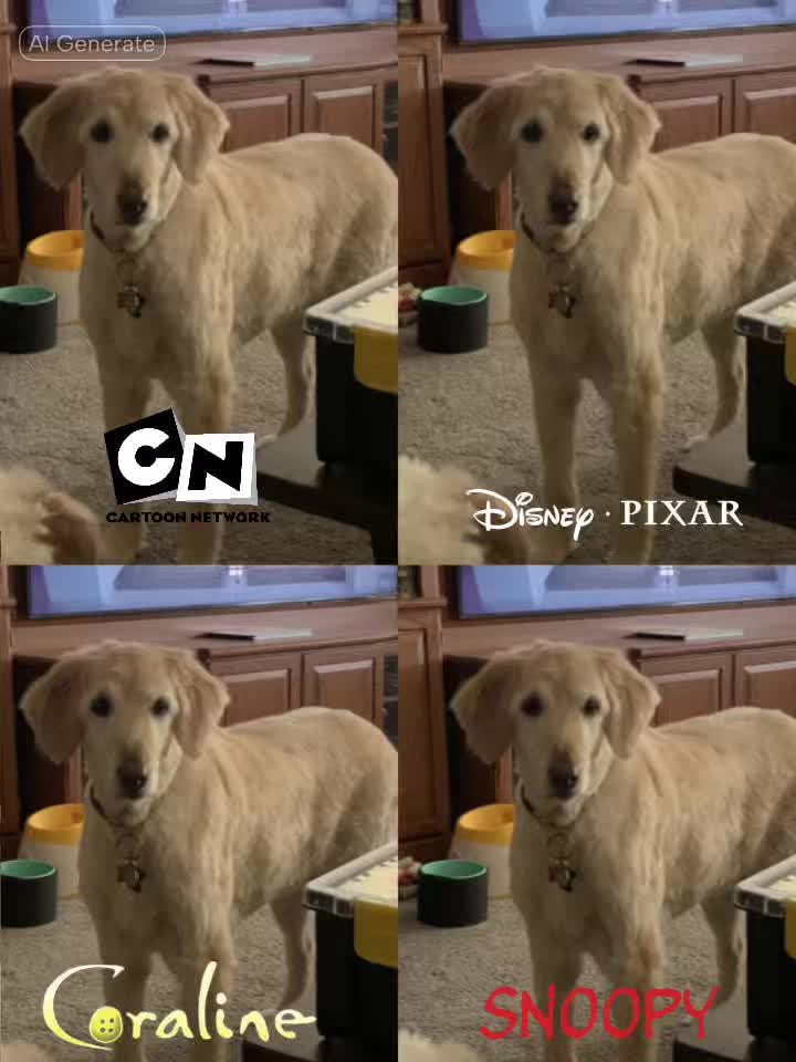 @(CSI) Rosie