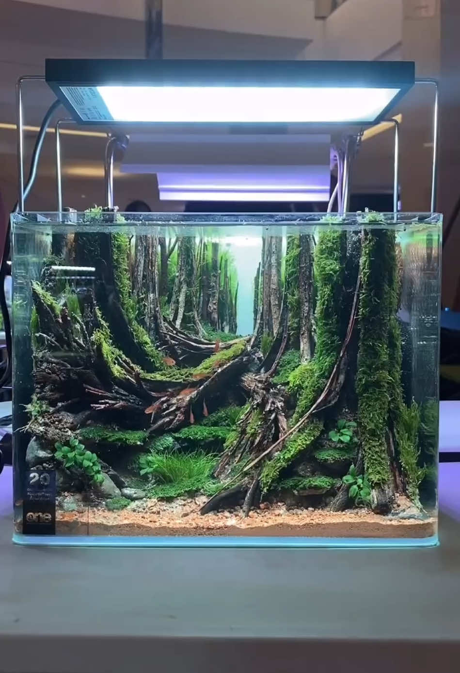 @Visuallscape