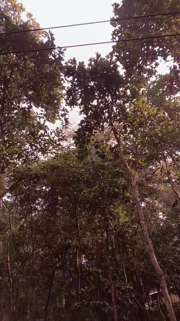 @Kalpana Didi