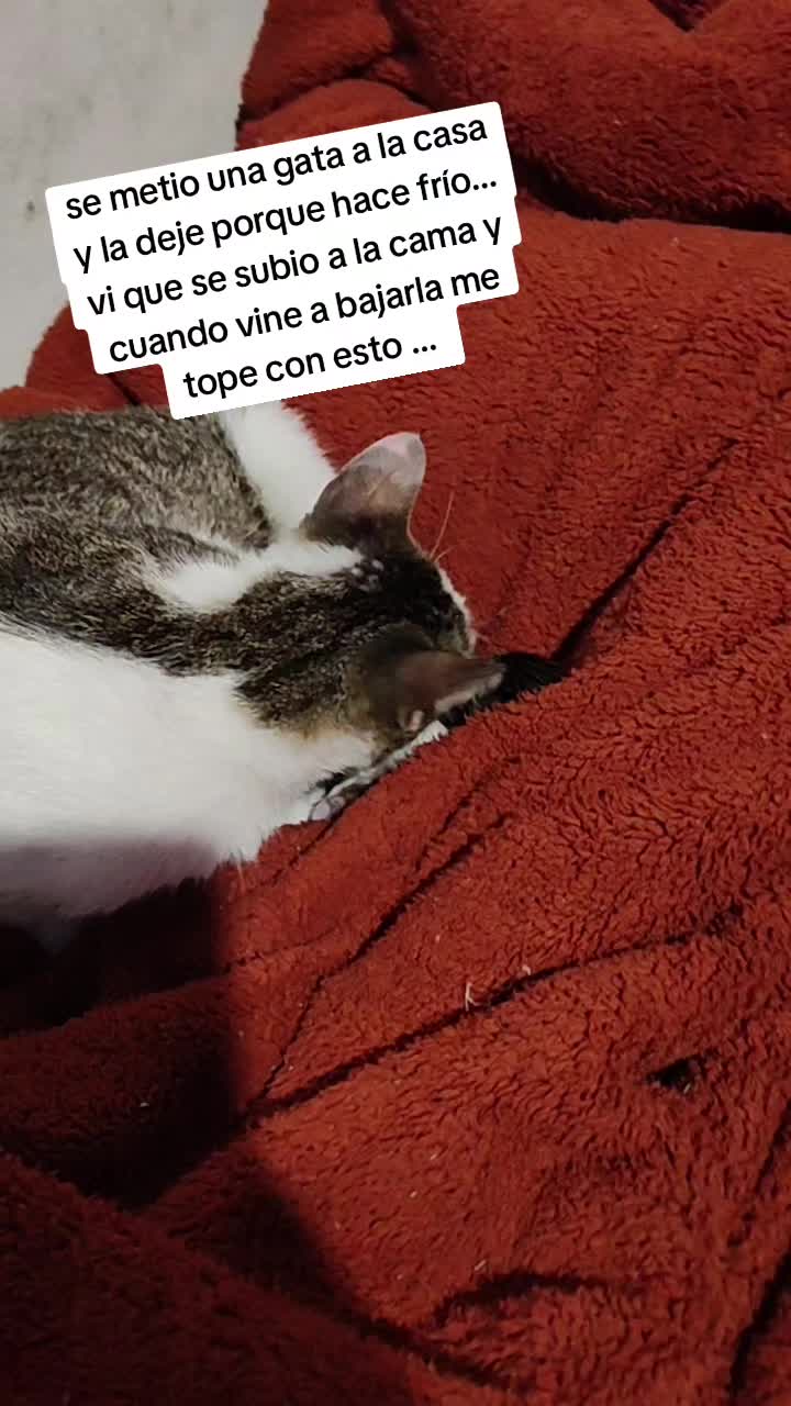 @Delyunderap