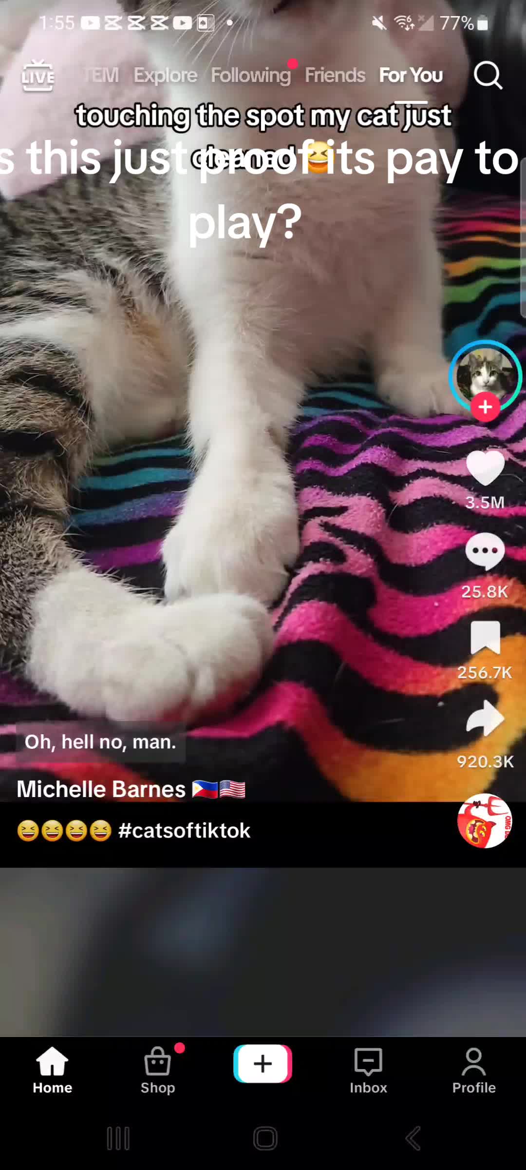 @Mo El Kitty Gato