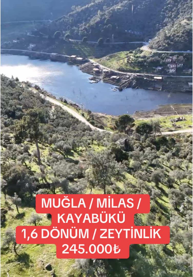 @Banuoztekin.emlak