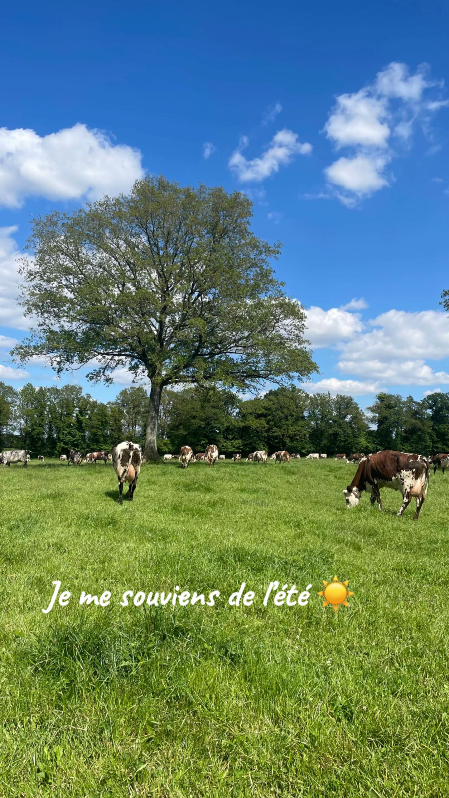 @Cl&eacute;mentine 👩🏻&zwj;🌾