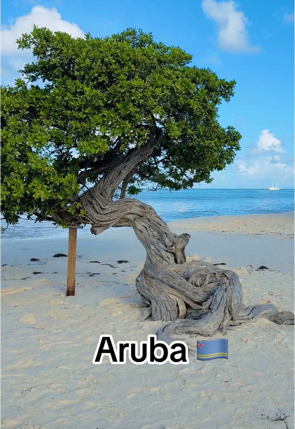 @Anupama