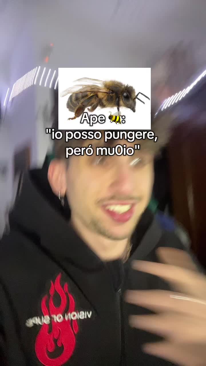 @vanciox