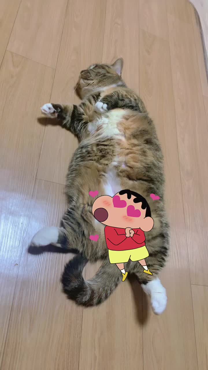 @왕만두105