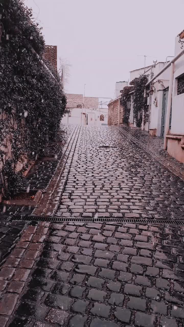 @_seko_2626