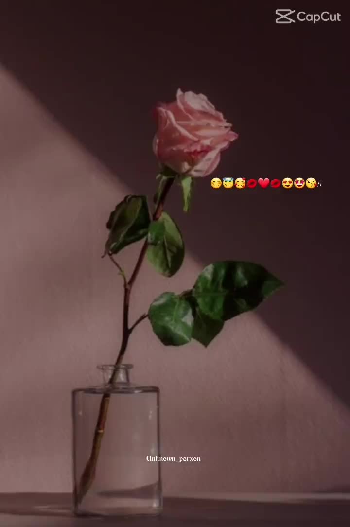 @Fardeen Kahan