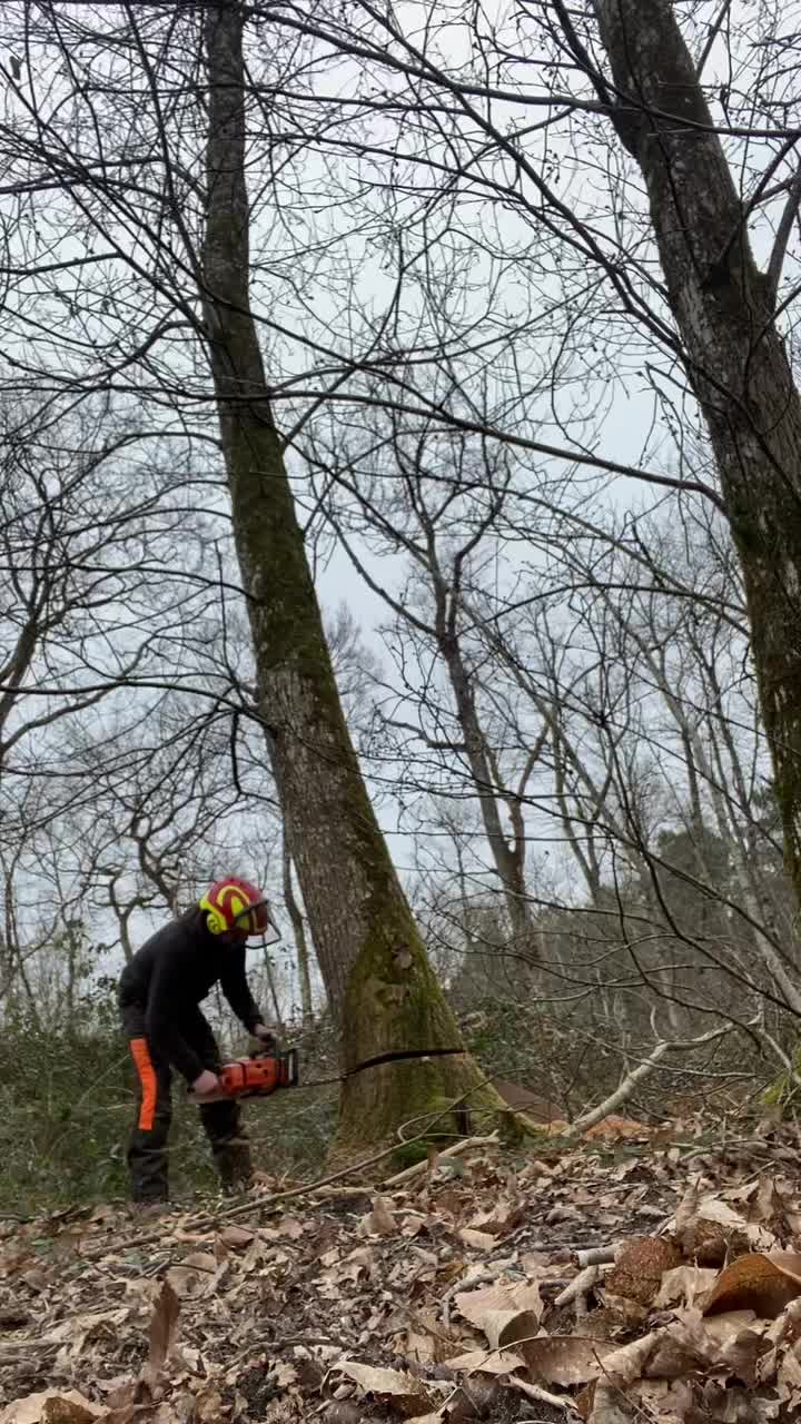 @Nashouille_tackle