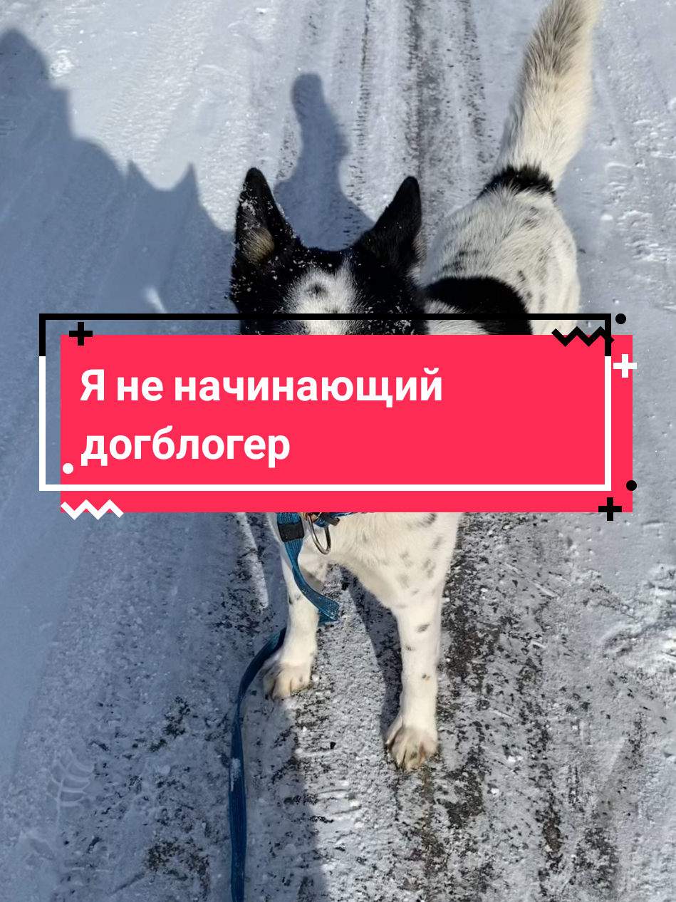 @Калыван