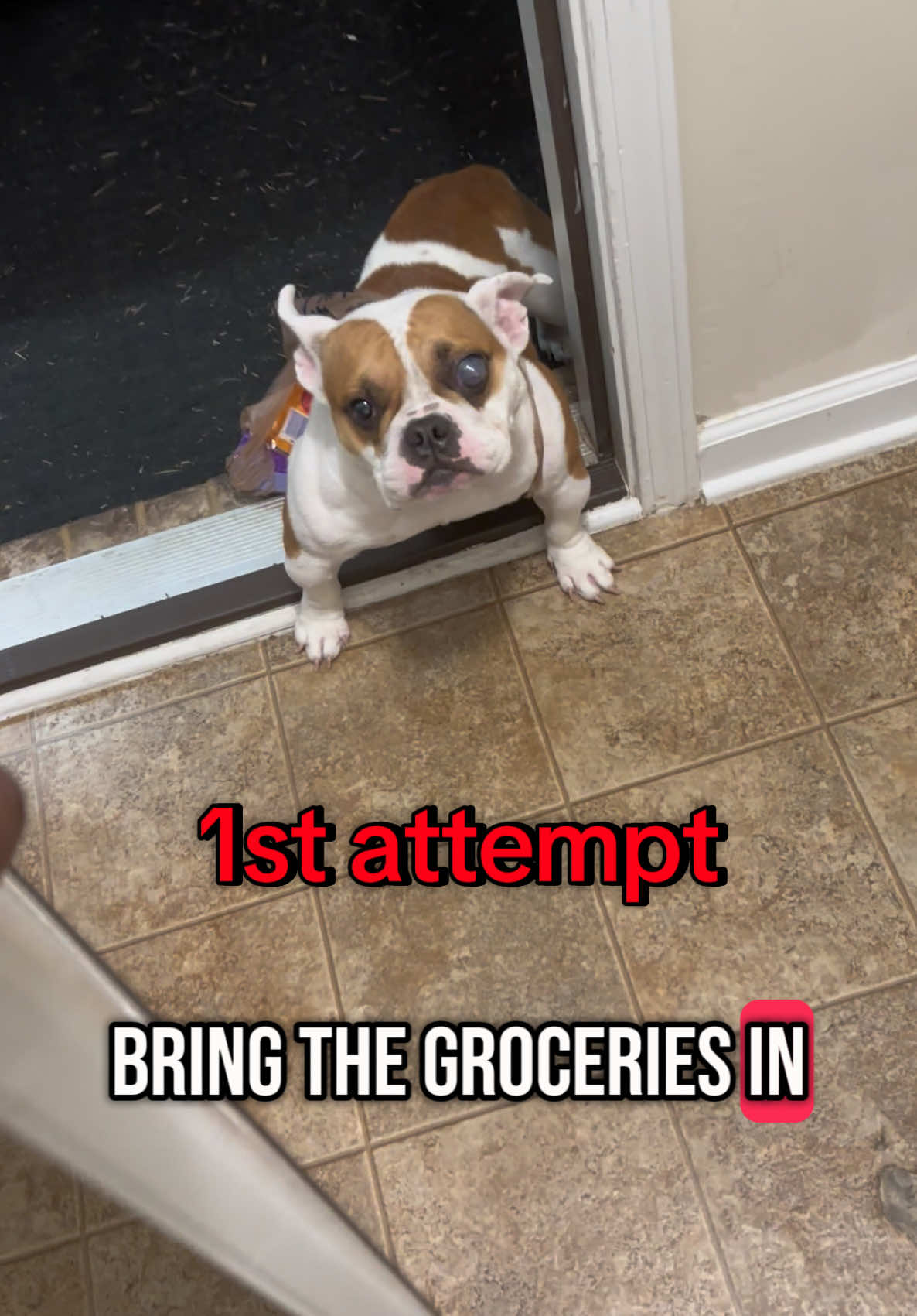 @whatupdough_