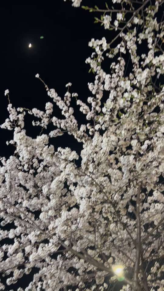@메추리알